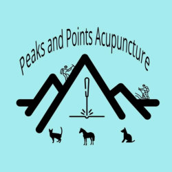 Peaks and Points Acupuncture and Integrative Health